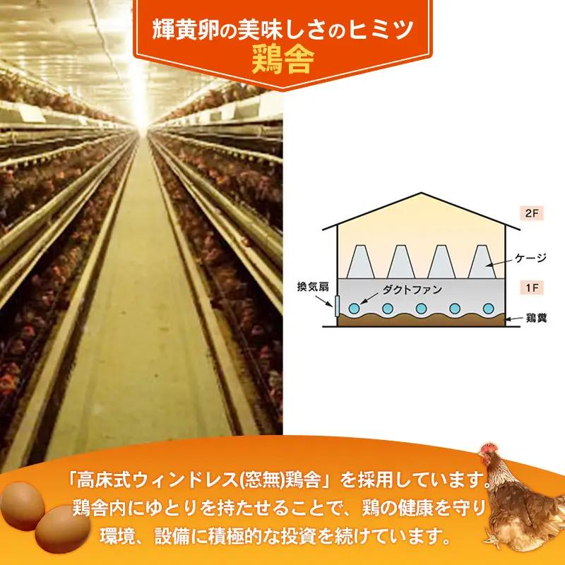 【定期便3回】ヒラノのタマゴ 輝黄卵(きおうらん) 赤Mサイズ 180個 【 割れ保証込み 卵 たまご タマゴ 国産 新鮮 直送 定期便 3回 3ヵ月 輝黄卵 朝ごはん 卵かけごはん 福岡県 筑前町 