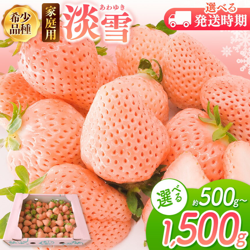 【ふるさと納税】 【 先行予約 】 ご家庭用 淡雪 選べる 約500g or 約1000g or 約1500g 12月以降 or 2月以降発送 | 訳あり 果物 フルーツ いちご 白いちご 淡雪 簡易包装 熊本 玉名 送料無料