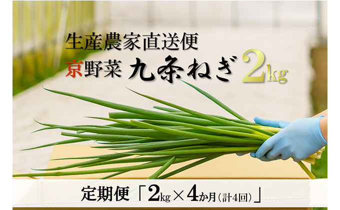 【4か月定期便】生産農家直送 京野菜・九条ねぎ2kg〈定期便 ねぎ ネギ 葱 九条ねぎ 京野菜 京都 新鮮 甘い 農家直送 野菜〉 4ヶ月 4回 