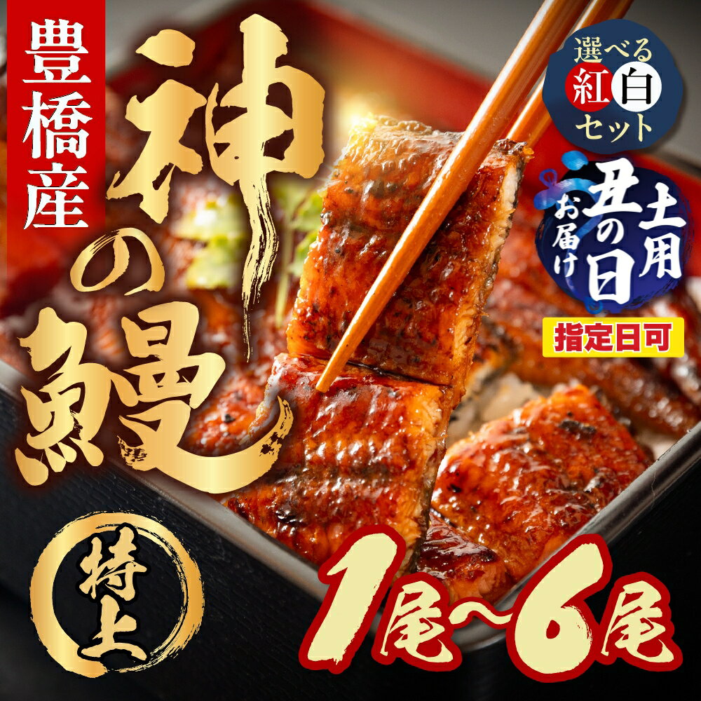 【ふるさと納税】豊橋うなぎの新ブランド『神の鰻』1尾〜6尾 国産 特上 選べる 紅白 セット 鰻 うなぎ unagi ウナギ 蒲焼 長蒲焼 国産うなぎ 上 特上 贈答 ギフト 豊橋うなぎ お祝い 白焼き 指定可 土用の丑の日 指定日 カネナカ 1万円 10000円 白焼 鰻 愛知県 豊橋市