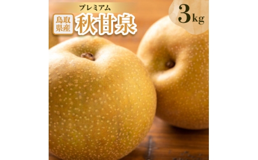 プレミアム秋甘泉 3kg【1733718】
