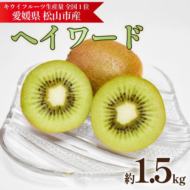 キウイフルーツ ヘイワード 約1.5kg キウイ【KNN011】