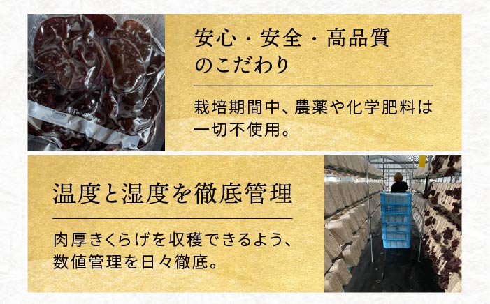 【全3回定期便】結樹農園アグリス めんたいきくらげ300g ≪糸島市≫【結樹農園アグリス】きくらげ/国産/明太/明太子 [AAJ005]
