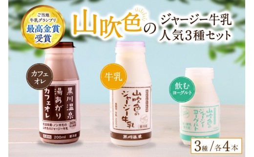 山吹色のジャージー牛乳 人気3種セット 3種 12本 ジャージー牛乳 飲むヨーグルト 牛乳 200ml 150ml カフェオレ コーヒー牛乳 詰め合わせ アソート セット 乳製品 飲料 健康 腸活 免疫力アップ 乳酸菌 ご当地牛乳グランプリ 最高金賞 ご当地 ギフト 贈答用 山のいぶき 熊本 阿蘇 南小国町 送料無料