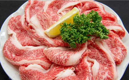 博多和牛 牛肉 スライス しゃぶしゃぶ「ブリスケ」約700g＜一般社団法人地域商社ふるさぽ＞那珂川市 牛肉 肉 黒毛和牛 ブランド牛 国産  BBQ バーベキュー 12000 12000円 [GBX0