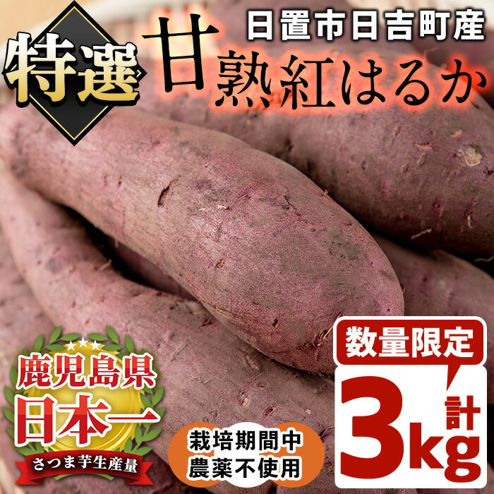 【ふるさと納税】＜先行予約受付中！＞鹿児島県産！栽培期間中農薬不使用 特選甘熟さつまいも(生)紅はるか3kg(S・M・Lサイズ 混在) 贈り物にも！いも 芋 さつまいも サツマイモ 焼き芋 大学芋 スイーツ 熟成 ギフト 贈答用 【上原農園】