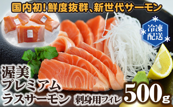 
渥美プレミアム　ラスサーモン刺身用フィレ　約500g ／ 養殖 新鮮 刺身 愛知県 特産品 産地直送 田原市 渥美半島
