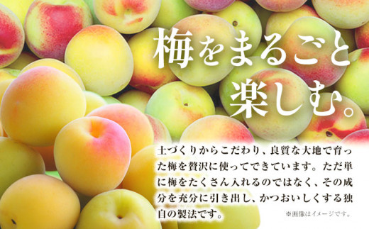 CHOYA 酔わない ウメッシュ ノンアルコール 350ml × 24本 羽曳野商工振興株式会社《30日以内に出荷予定(土日祝除く)》大阪府 羽曳野市 送料無料 梅酒 梅 酒 CHOYA チョーヤ チ
