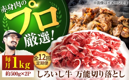 【牧場直送】【12回定期便】佐賀県産 しろいし牛 万能 切落し 1kg（500g×2パック）【佐賀セントラル牧場】佐賀県産 肉 お肉 牛肉 切り落とし 佐賀 国産 和牛 きりおとし 大容量 冷凍 九州 佐賀県 白石町  白石 [IAH135]
