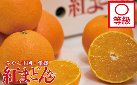紅まどんな 〇等級 化粧箱 L玉～5L玉  【2026年11月下旬頃から順次発送】  | 高級 紅マドンナ べにまどんな 柑橘 フルーツ 果物 くだもの 愛果28号 愛媛三大柑橘（ 紅まどんな せとか 甘平 ）  愛媛県 松山市