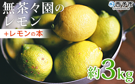 ＜無茶々園のレモン 約3kg＋レモンの本＞ 【先行予約】フルーツ 果物 くだもの れもん 檸檬 柑橘 香酸柑橘 国産 無茶々園 特産品 愛媛県 西予市【常温】『2027年1月～3月までに順次出荷予定』AMC0031