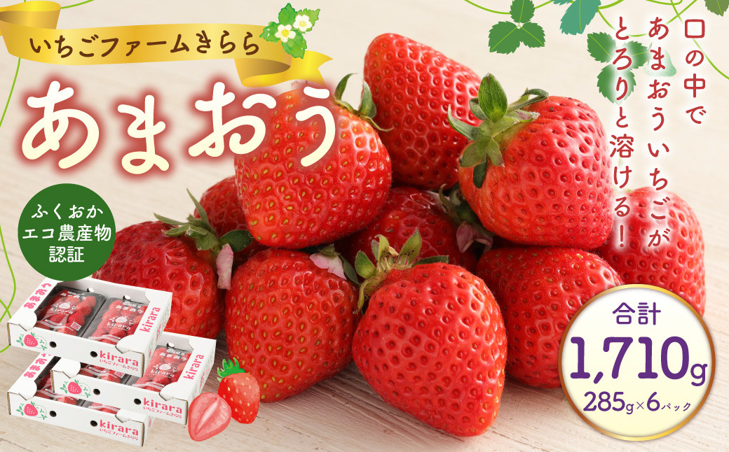 
                  あまおう 約1710g 約285g×6パック いちごファームきらら いちご イチゴ 苺【ふくおかエコ農産物認証】【2027年2月上旬-3月下旬発送予定】
                