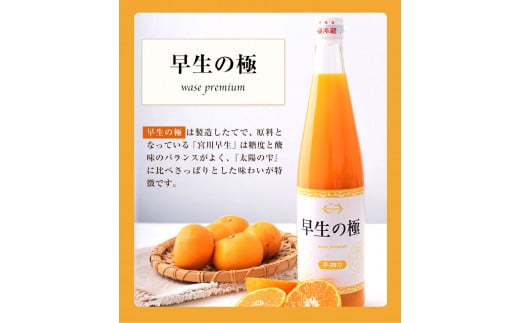 『菅本果実園』こだわりの手搾りみかんジュースセット 太陽の雫530ml×1本早生の極み530ml×1本《11月下旬‐4月末頃出荷》 ---sg_mikanju_cf114_24_18500_2i---