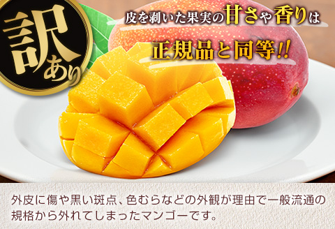 訳あり 宮崎県産 完熟マンゴー 約1.8kg 令和9年発送分 2027年 フルーツ 果物 くだもの 宮崎マンゴー 希少 濃厚 ワケアリ ご褒美 お祝い 国産 食品 おやつ デザート とろける食感 おす