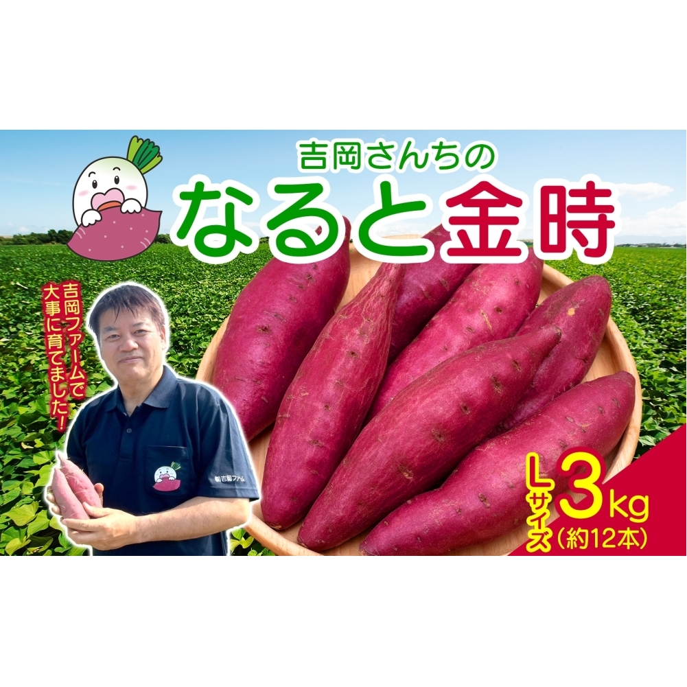 【予約受付中・2026年10月頃より順次発送】「吉岡さんちのなると金時」 Lサイズ 3kg
