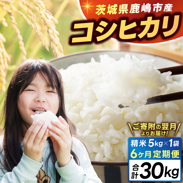 【6ヶ月定期便】★新米 令和7年★ 米 精米 白米 5kg (総計 30kg)「こしひかり」先行予約 鹿嶋市産【令和7年産 コシヒカリ お米 コメ ごはん ライス ブランド米 茨城県 鹿嶋市】(KEJ-5)