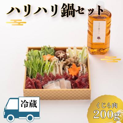 ふるさと納税 下関市 【 お届け指定日必須 】 ハリハリ鍋 セット BH231