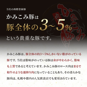 味付きかみこみ豚3種セット 豚丼 80g×10枚 味噌漬け 80g×10枚 ポークチャップ 200g×4枚 計2.4kg 豚肉 豚丼 北海道 ご当地グルメ 味噌漬け 味噌 ポークチャップ 真空 豚 ポ