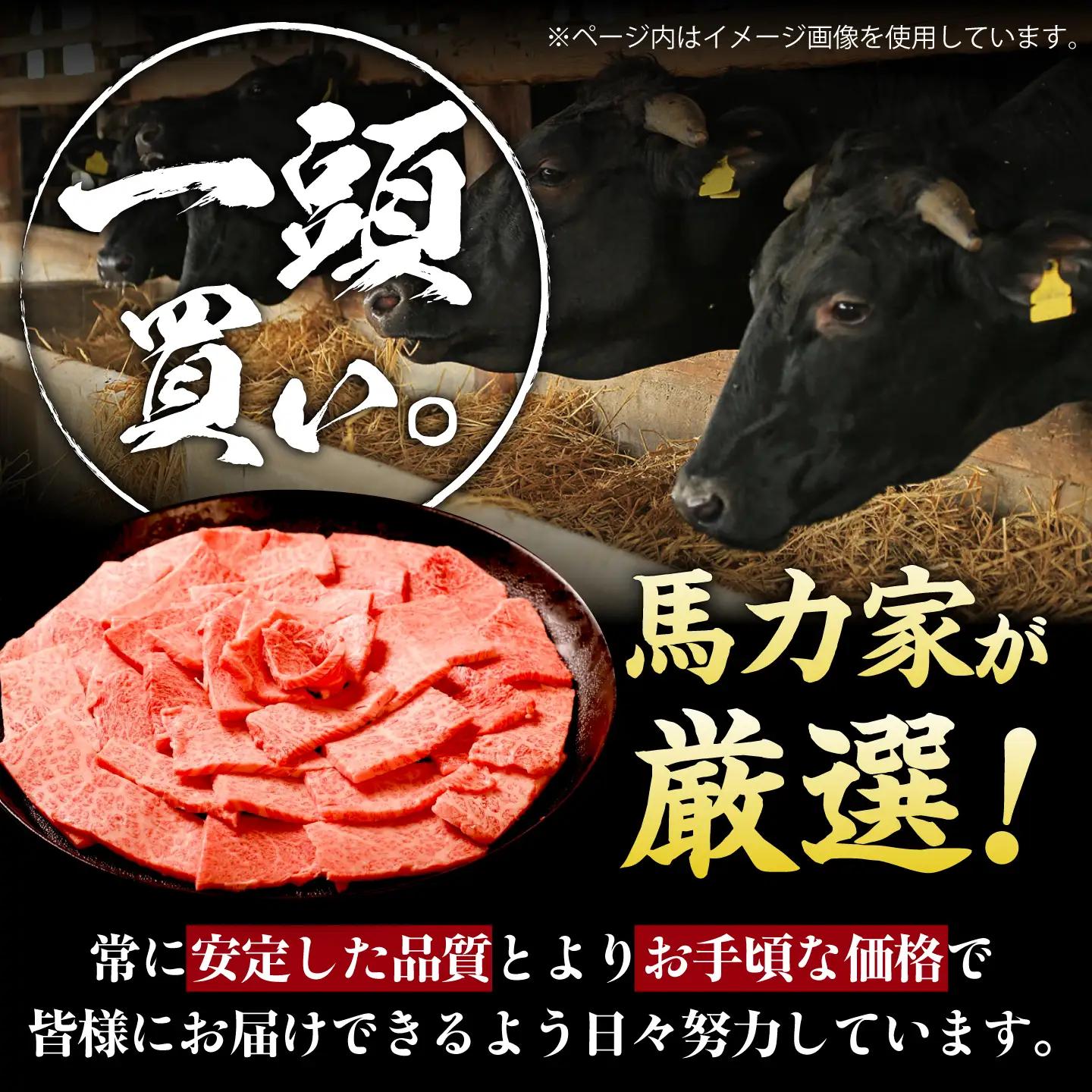 【3回定期便】飛騨牛 肩ロース(焼肉用)1.2kg / 飛騨牛 国産 肩ロース ロース 焼肉 焼き肉 黒毛和牛 和牛 牛肉 BBQ 岐阜県 / 御嵩町 / 馬力家[AVBO111]