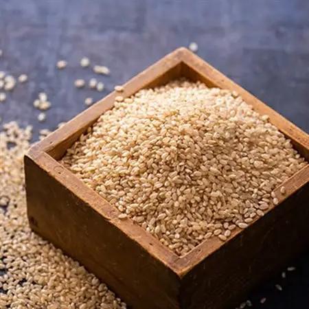 【令和7年産】まっしぐら　玄米20kg【配送不可地域：離島・沖縄県】【1094071】