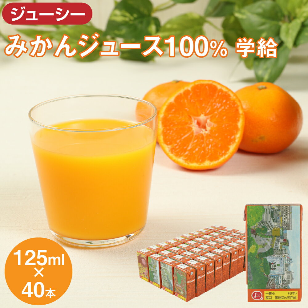 【ふるさと納税】ジューシー みかんジュース100％ 学給 125ml×40本 合計5,000ml 5L 蜜柑ジュース ミカンジュース オレンジジュース 紙パック 果汁 国産 九州 熊本県 送料無料