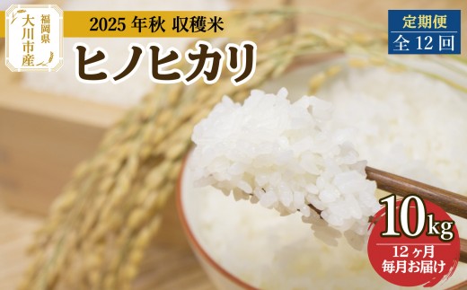 定期便 福岡県大川市産ヒノヒカリ（2025年秋収穫のお米）10kg×12回 定期コース（全12回のお届け） | 米 お米 こめ 白米 精米 120kg 120キロ 食品 ライス 令和7年 美味しい おいしい ご飯 ごはん 人気 おすすめ 送料無料 ふるさと納税 定期配送