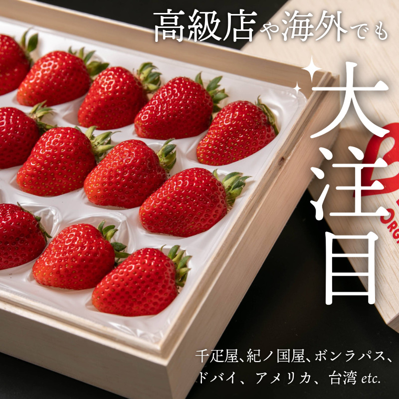 オーガニック いちご 大粒 約12～15粒 桐箱入り 《1月末から5月発送》 有機JAS認証 ORGANIC 甘い 苺 果物 フルーツ 産地直送 新鮮 ストロベリー ジャム スムージー 期間限定 徳島