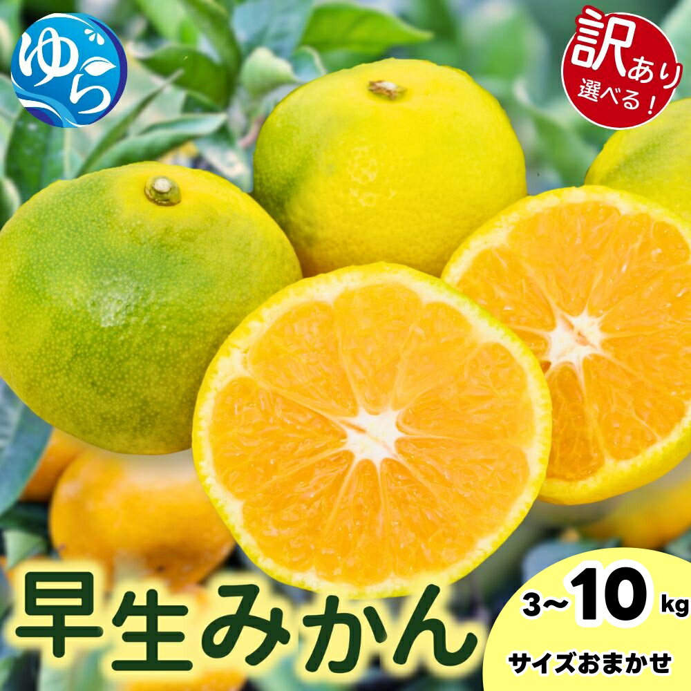 【ふるさと納税】 由良 早生 みかん / ゆら早生 温州みかん 甘い 訳あり 家庭用 和歌山 3kg 5kg 10kg サイズお任せ ※2026年11月上旬～12月上旬に順次発送 ※北海道・沖縄・離島への配送不可