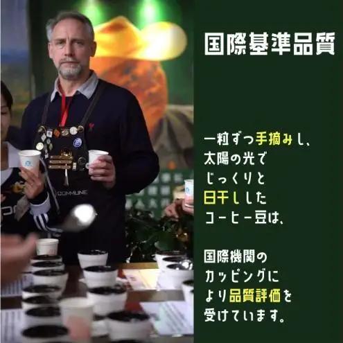 【100g×3袋】雲南コーヒー 焙煎度 3種 飲み比べ ＆ オリジナルブレンド作成キット コーヒー コーヒー豆 豆 珈琲 飲み物 飲料 飲み比べ 東京 豊島区