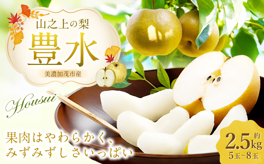 
            《先行予約》 「山之上果実農業協同組合」 山之上の梨 豊水 1箱 約 2.5kg 5-8玉 梨 なし ナシ 果物 旬 旬の果物【2025年9月上旬-9月下旬 発送予定】
          