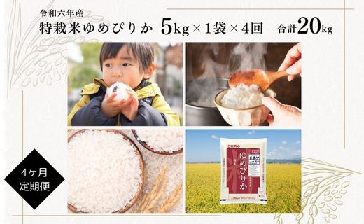 日経トレンディ「米のヒット甲子園」大賞受賞『特栽米ゆめぴりか5kg』定期便！毎月1回・計4回お届け