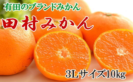 【ブランドみかん】田村みかん 大玉 約10kg (3Lサイズ) ※2025年11月下旬～12月下旬頃に順次発送予定