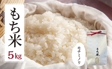 ≪令和7年度産≫もち米 モチミノリ 5kg｜もち米