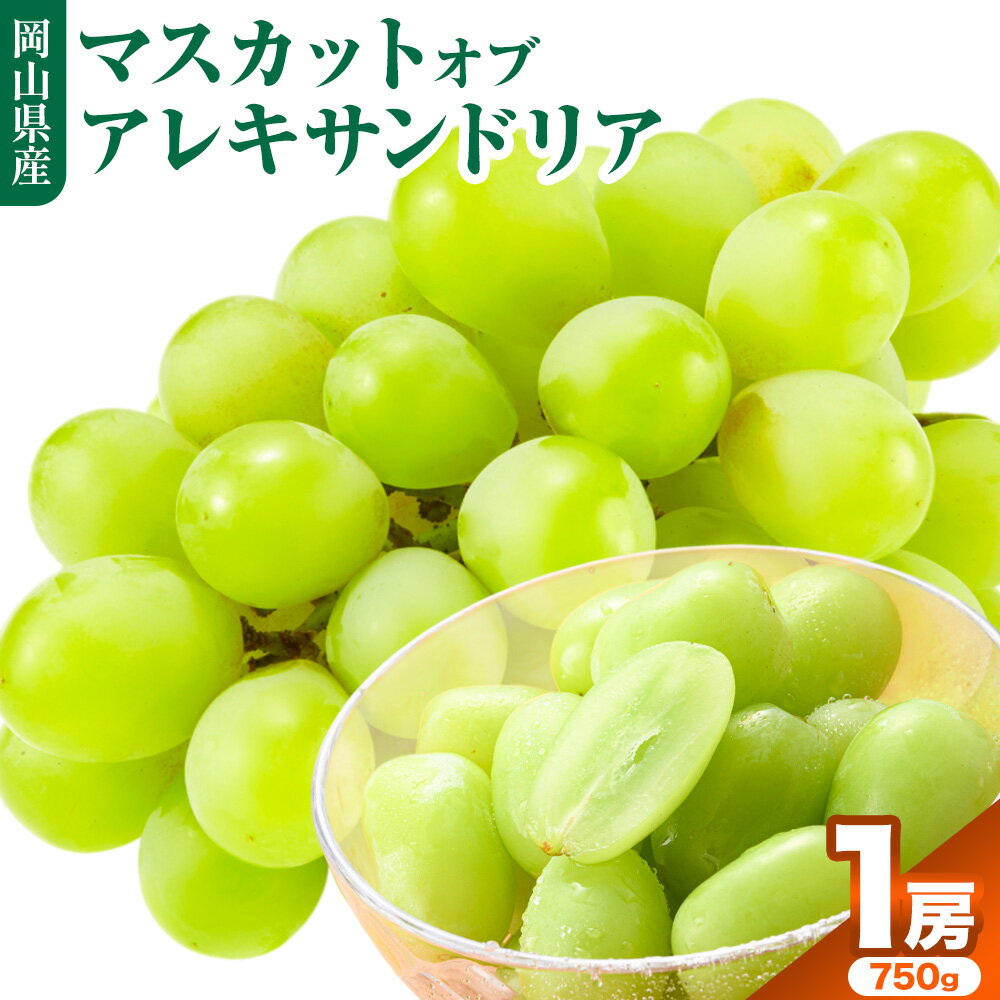 【ふるさと納税】岡山県産マスカット（マスカット オブ アレキサンドリア　1房750g以上）令和8年産先行受付 《2026年7月上旬上8月下旬頃出荷》岡山県 備前市【配送不可地域あり】