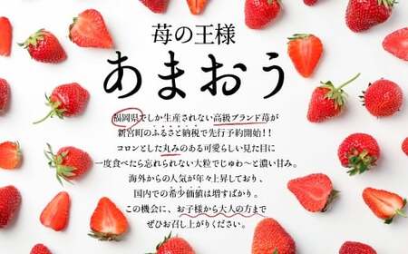 B385.あまおう約1,080gといちじく（とよみつひめ）約1kgのセット【あまおう】【とよみつひめ】