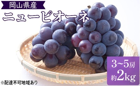 ピオーネ 化粧箱入り 岡山県産 ピオーネ【2kg 3～5房】【先行予約】
