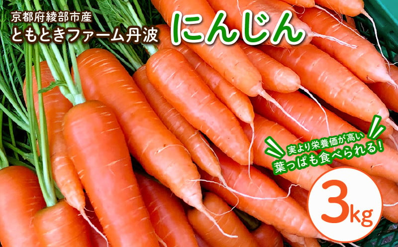 
            丸かじりできる！甘いにんじん(約3kg)【発送時期：7月/12月～2月】丸かじり 甘い 人参 安心 安全 季節の野菜 新鮮 農薬不使用 フルーティ 京都 綾部 農家直送 3kg ジュース 緑黄色野菜 野菜 美肌 美白 3キロ 葉 葉っぱ 葉付き にんじん 丸ごと まるごと 赤ちゃん 国産 無農薬 離乳食 
          