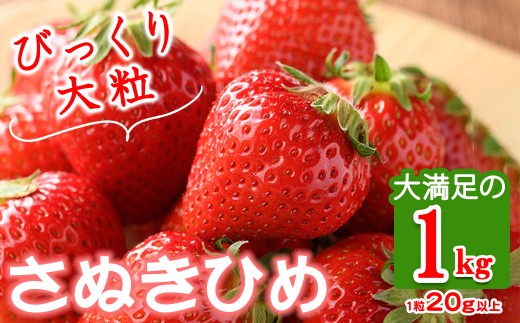 ＜期間限定！2026年3月下旬以降順次発送予定＞＜選べる容量＞大粒！香川県産 さぬきひめいちご(約1kg・1粒20g以上) 【man104・man105】【Aglio nero】