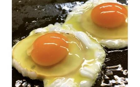[ふるなび限定企画]【定期便3回】[平飼い卵食べ比べ] 平飼い有精卵あかり・平飼い卵いろは 各15個 合計30個 (毎月お届け）