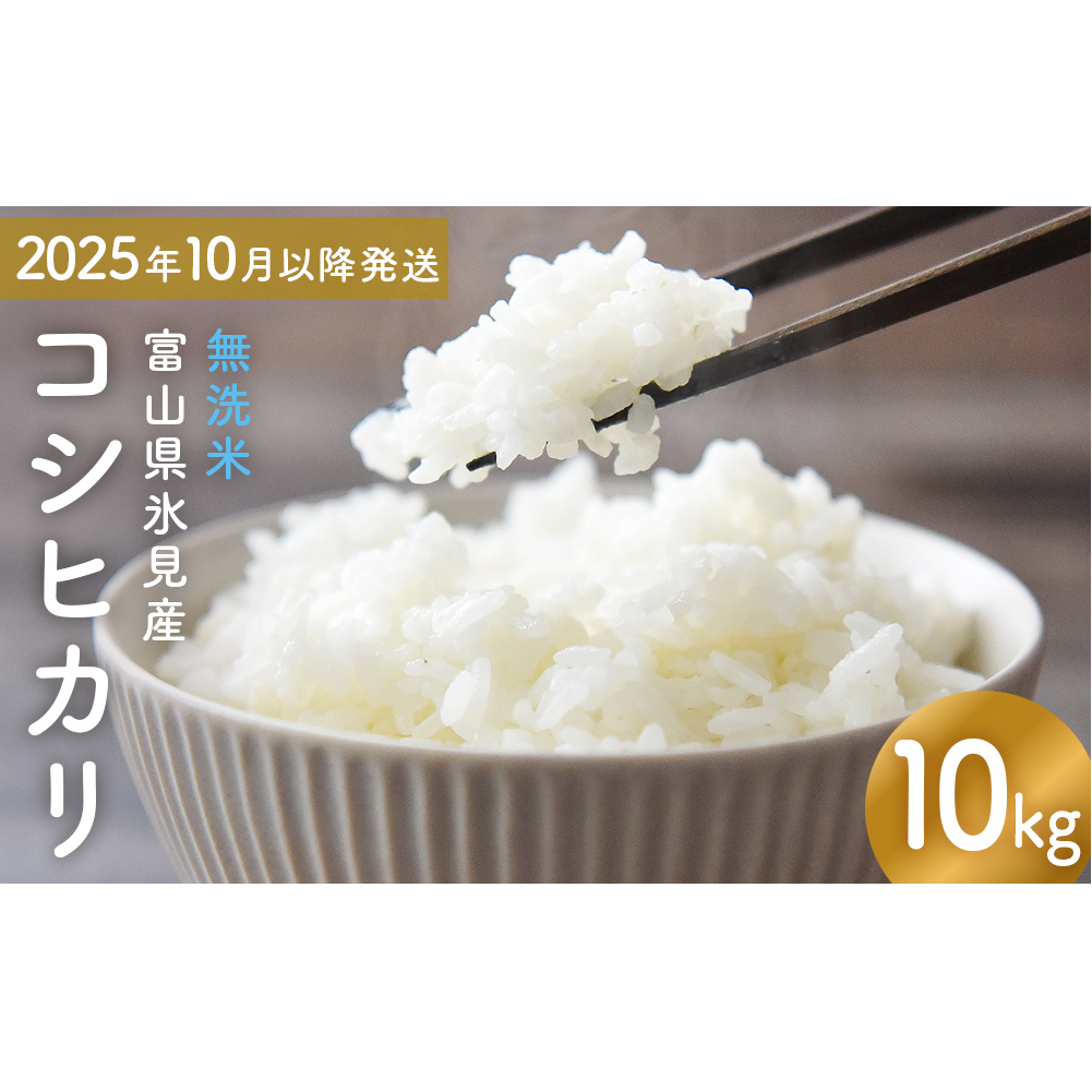 コシヒカリ 無洗米 10kg （5kg×2） 富山県氷見産 ＜2025年10月以降発送＞ 富山県 氷見市 米 コシヒカリ