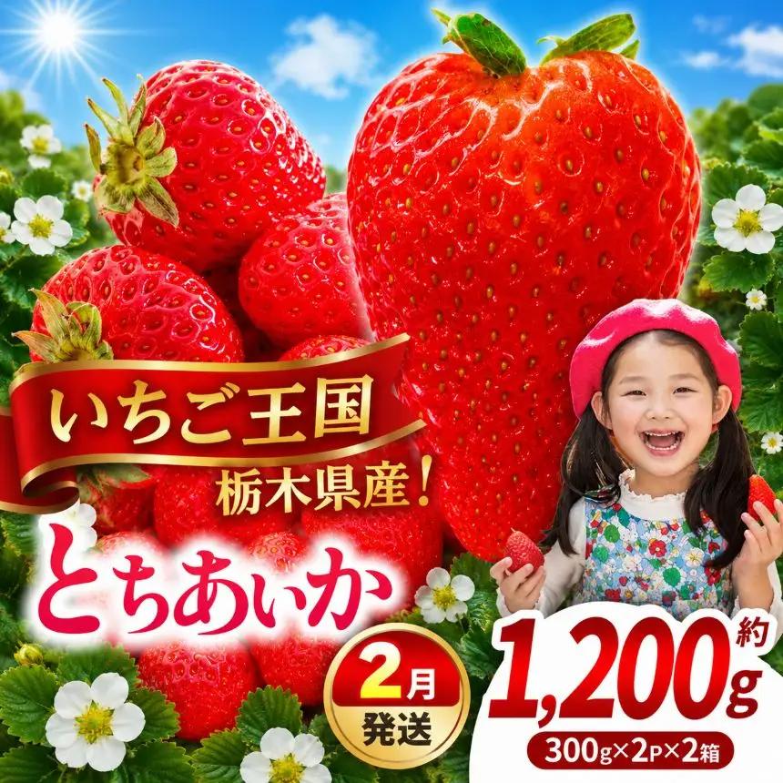 【先行予約】【期間限定】那珂川町産とちあいか 2月発送分 300g×2×2 |いちご とちあいか ジューシー フルーティー 大きい 新鮮 甘い 美味しい 果物 共通返礼品 フルーツ デザート 栃木県 那珂川町 送料無料