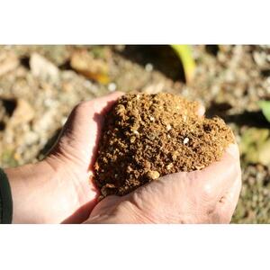 和歌山産　家庭用 完熟木なりハッサクみかん　約10kg　箱入り　M～2Lサイズ【1482411】