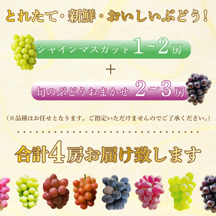 【先行受付】みのる農園おまかせ ぶどう食べくらべ（4房）葡萄 ブドウ 詰合せ 果物 フルーツ 2025年7月～10月上旬お届け 広島県三原市 206001