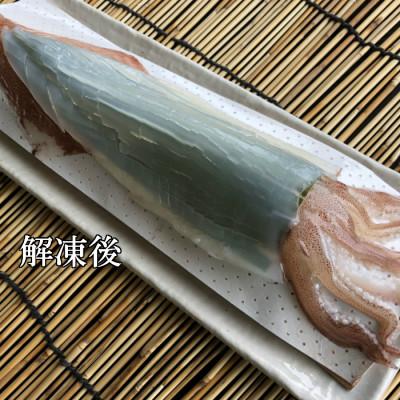 ふるさと納税 唐津市 呼子のいか活造り　(1杯) |  | 03