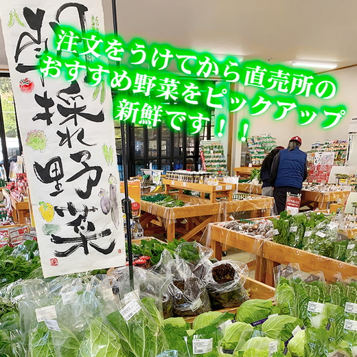 季節の新鮮野菜詰め合わせ　旬