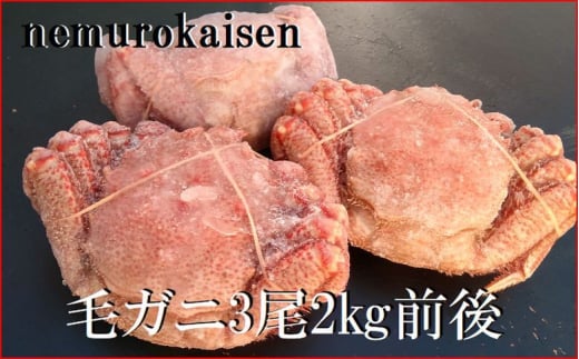 E-57007【12/21まで年内配送】 【北海道根室産】毛がに3尾(計2kg前後)