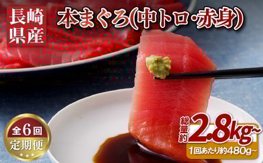 A133p 【全6回定期便 総計2.88kg】長崎県産 本マグロ (中トロ・赤身)  計480g以上 海鮮丼のタレ付き【本家永松家】マグロ まぐろ 鮪 中トロ 中とろ 赤身 刺身 海鮮丼 定期便 頒布会