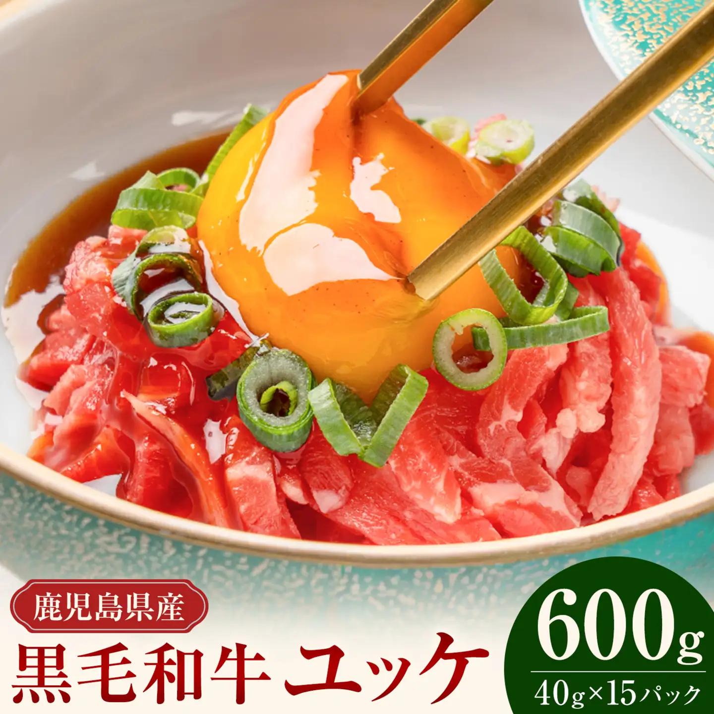 鹿児島県産黒毛和牛ユッケ 600g 40g×15パック LRプラスK《90日以内に出荷予定(土日祝除く)》鹿児島県 さつま町 鹿児島県産 黒毛和牛 ユッケ 生食用 小分け タレ付き
