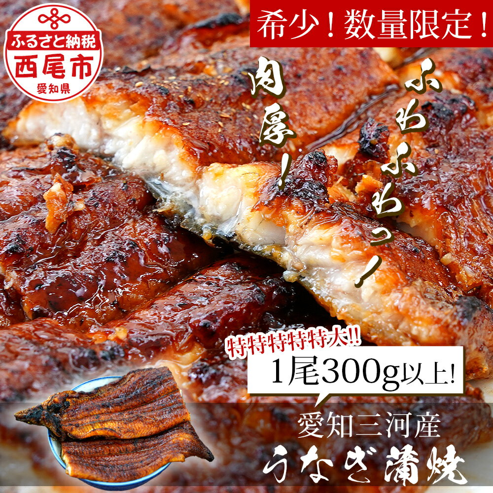 【ふるさと納税】《二の丑までにお届け》 うなぎ 西尾 希少なビッグサイズ！ 三河産 うなぎ 蒲焼き 1尾（300グラム以上!）冷凍 A135-14 規格外 国産 愛知三河産 愛知県産 鰻 ウナギ 鰻の蒲焼 メガサイズ 大きい タレ付き【冷凍便】 丑の日 土用の丑の日 MB