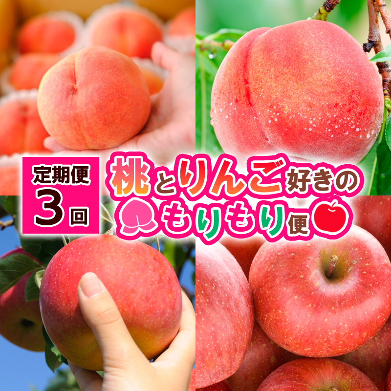 【定期便3回】桃とりんご好きのもりもり便 FY25-017